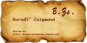 Borsó Zsigmond névjegykártya